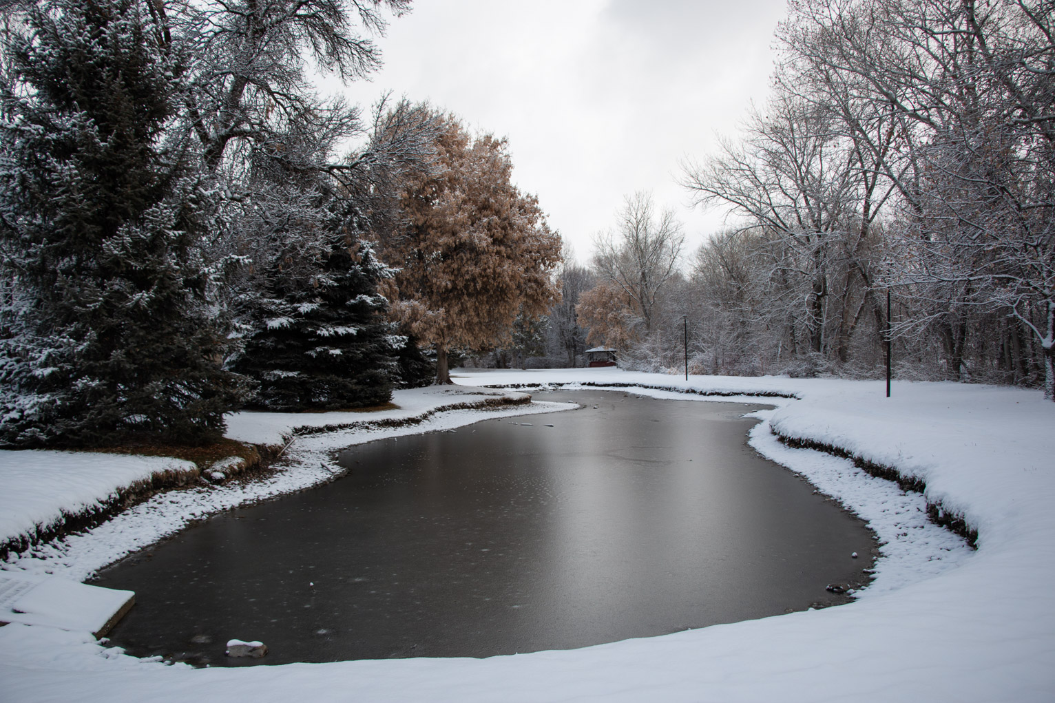 The pond has frozen and looks unnaturally dark on this bright white snowy day